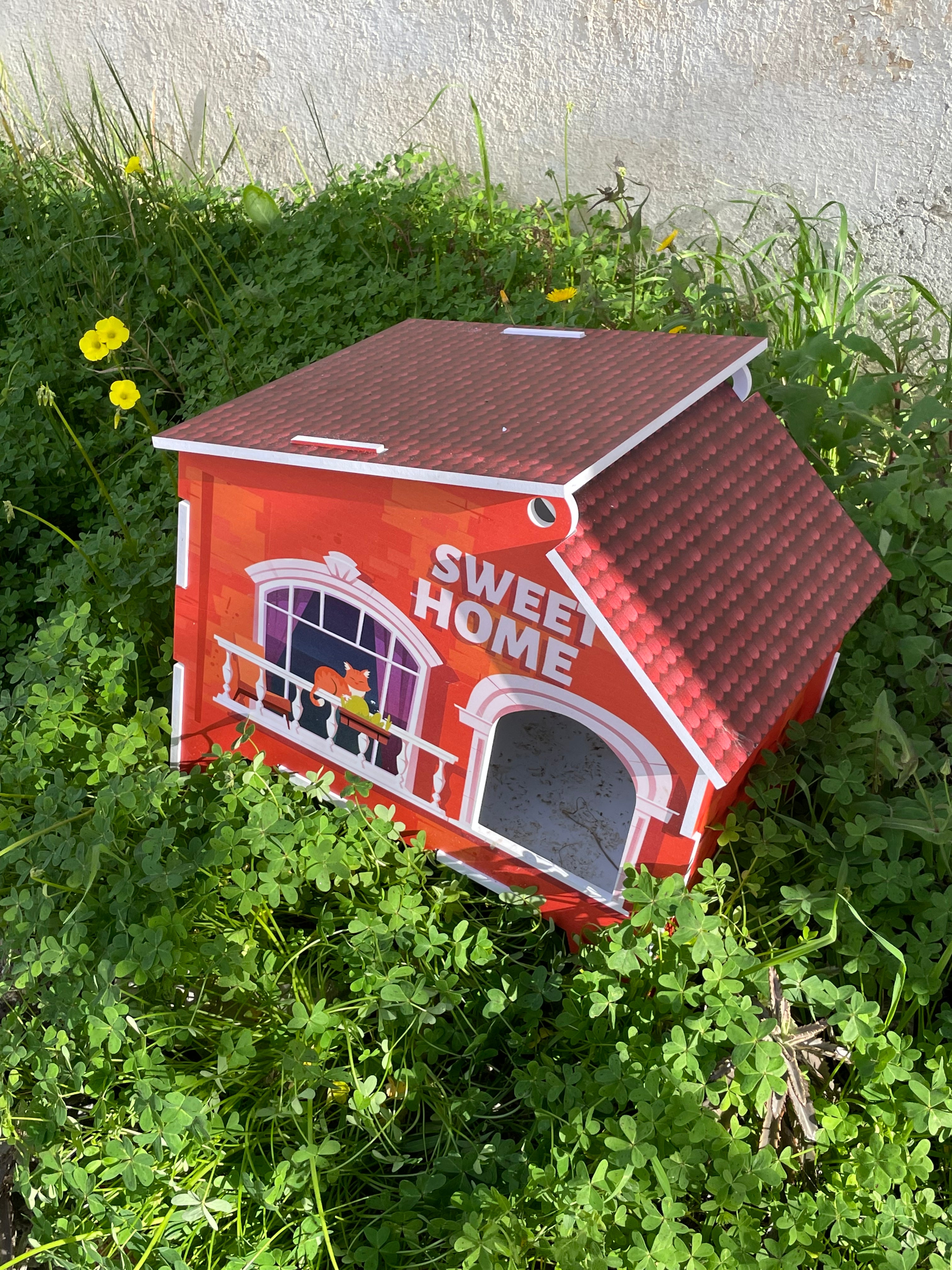 🐾 Sweet Cat Home